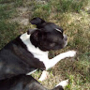 Meet your Posher, Dylan